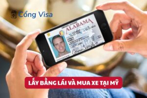 Người định cư Mỹ cần bằng lái và xe để di chuyển, làm việc, học tập và hòa nhập xã hội