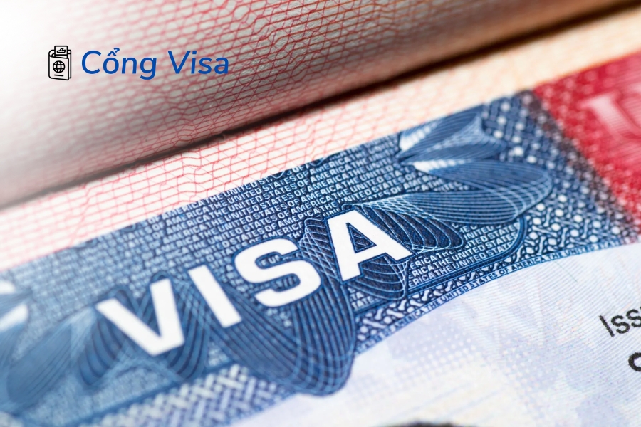 Cổng Visa tổng hợp các loại visa định cư Mỹ theo nhóm bảo lãnh, phù hợp từng đối tượng