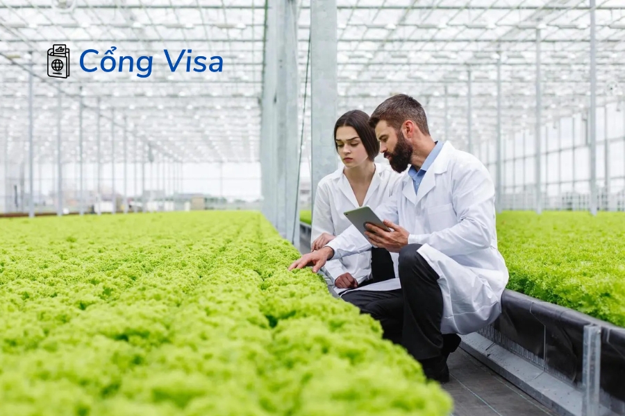 Ngành chế biến thực phẩm Mỹ thiếu lao động và tuyển dụng ổn định qua EB-3