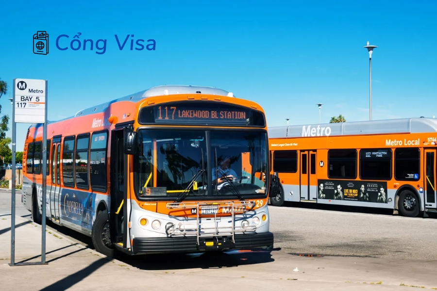 Cổng Visa khuyên nghiên cứu giao thông địa phương và tham gia cộng đồng để định cư thuận lợi tại Mỹ