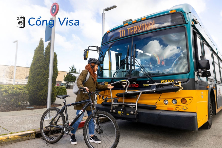 Hướng dẫn tìm tuyến và mua vé xe bus tại Mỹ qua app, Google Maps, tiền mặt hoặc thẻ transit card