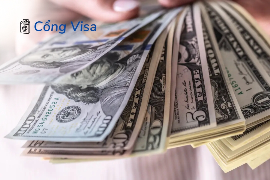 Người Việt ở Mỹ thu nhập trung bình 84.543 USD, tập trung y tế, IT và nail