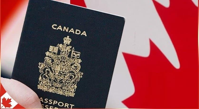 Có thể học tập khi xin visa du lịch Canada không?