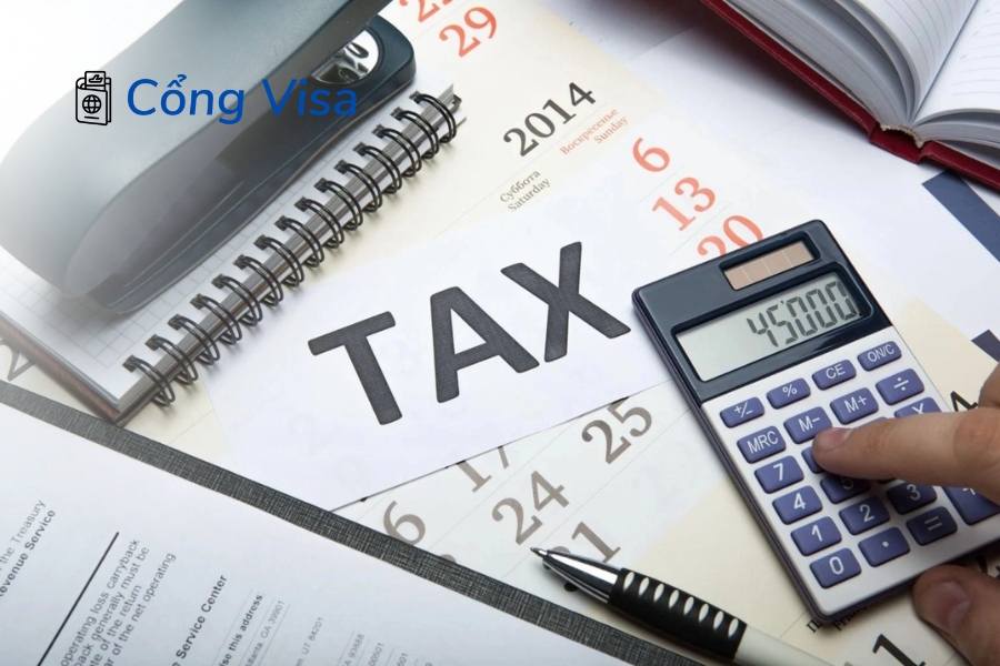 Hệ thống thuế Mỹ nhiều cấp độ và ảnh hưởng lớn đến lợi nhuận doanh nghiệp