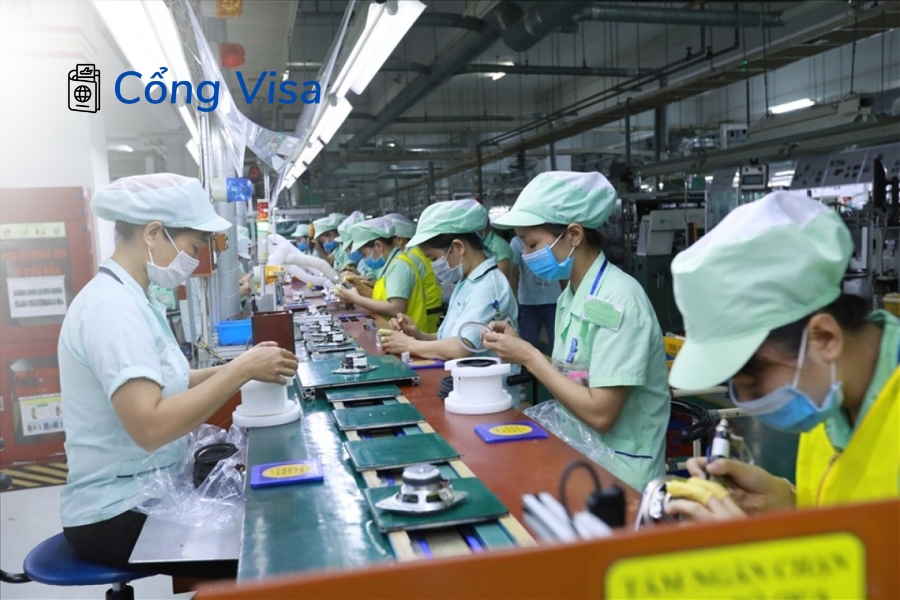 Diện EB-3 Chuyên gia yêu cầu bằng cử nhân và kinh nghiệm chuyên môn phù hợp