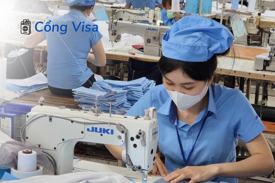 Các bang như California và New York cung cấp bảo hiểm tàn tật tạm thời cho người lao động bị ốm