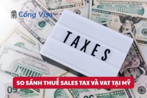 Hiểu khác biệt giữa Sales Tax và VAT giúp người định cư Mỹ nắm rõ hệ thống thuế