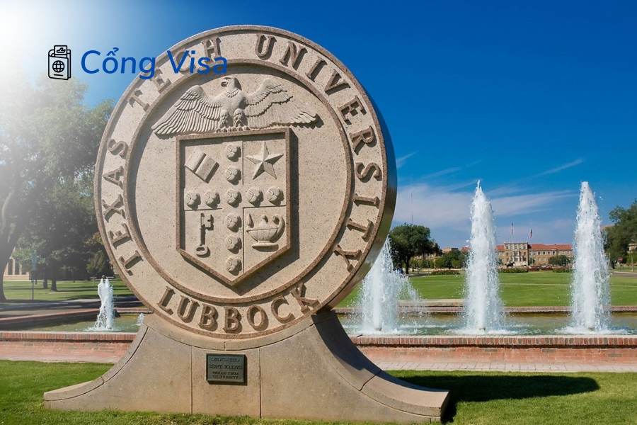 Texas Tech University ở Lubbock có 40.000 sinh viên, xếp #213 Mỹ, mạnh y khoa, kỹ thuật, nông nghiệp
